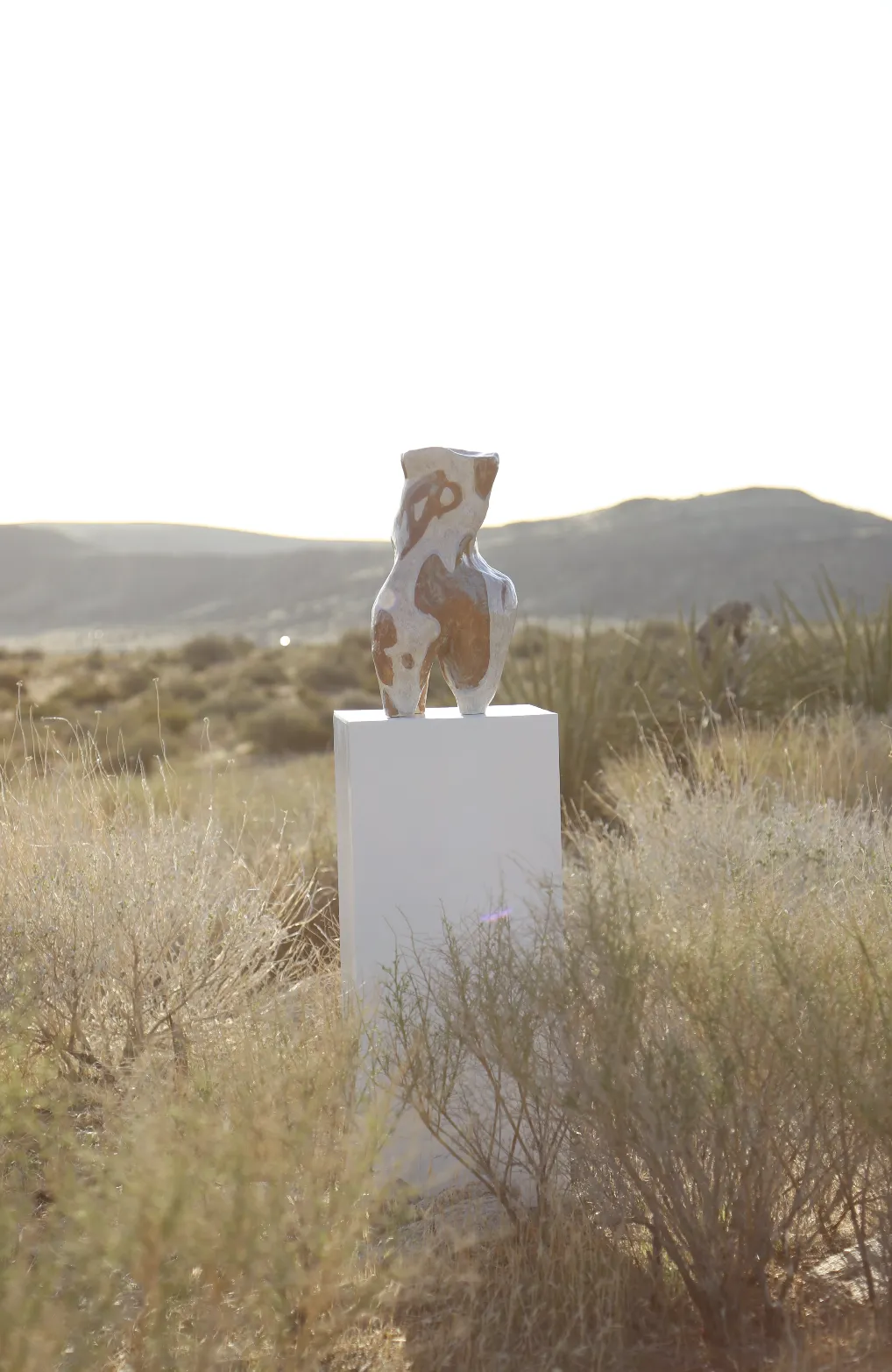 Animale — 2